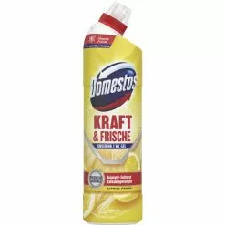 Domestos WC Gel Kraft & Frische Citrus Fresh 750ML