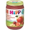 Hipp Bio Erdbeere Mit Himbeere In Apfel Ab Dem 5.Monat 190G