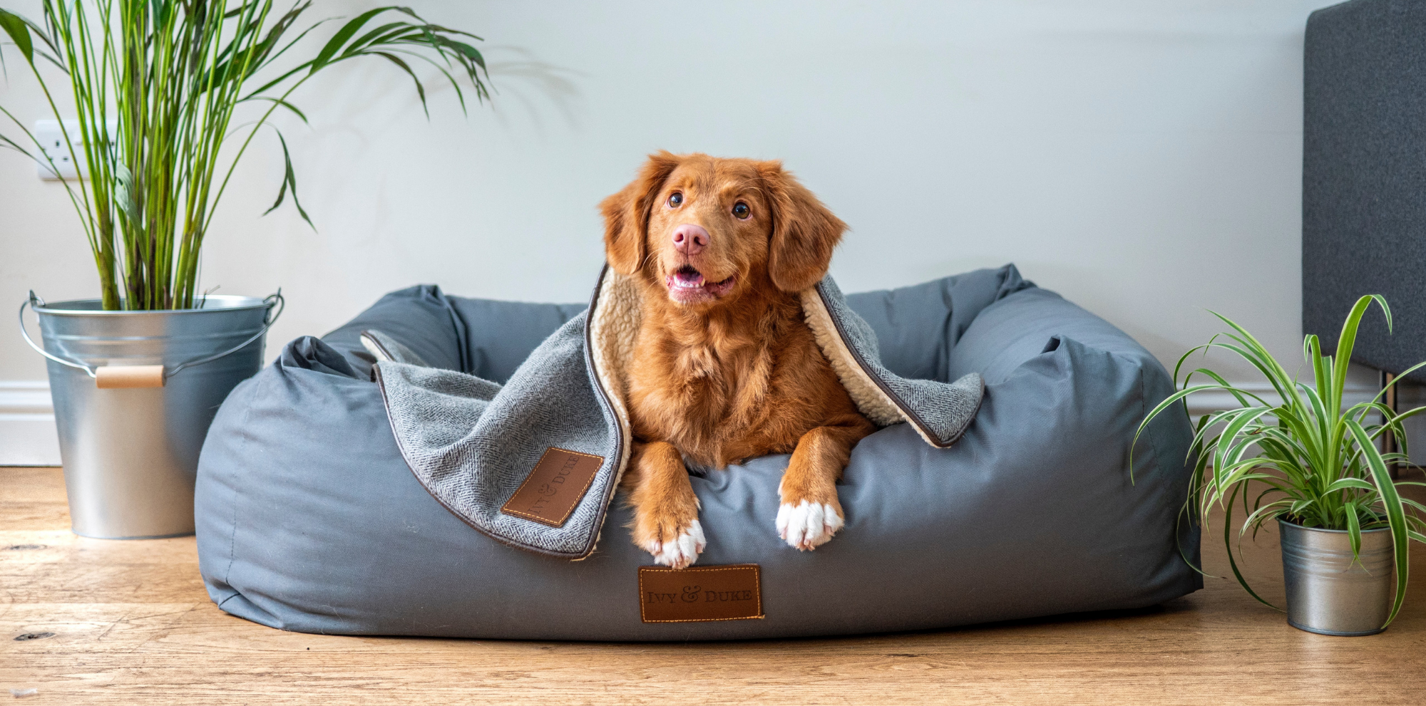 Tiernahrung Outlet Store -HAUSTIERZUBEHÖR Outlet Store 6343